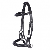   Sidepull Harrys Horse