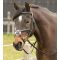 ������� Harrys Horse ������������ �������