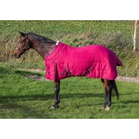  Harrys Horse Highliner WI24 200