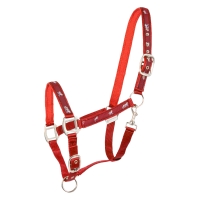  Waldhausen Horsemotif