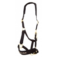  Back on Track Werano