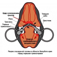 Интернет магазин