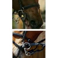 Интернет магазин