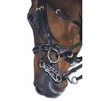 Интернет магазин