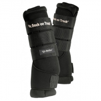   Back on Track Royal 2 