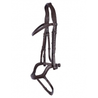  Harrys Horse Anatomic