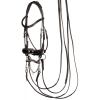   Harrys Horse Grand Prix