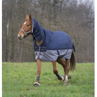     Equi-Theme Tyrex 600D