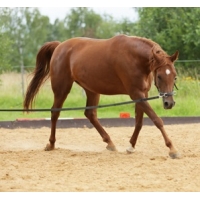 Интернет магазин