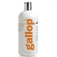 - GALLOP Carr&Day&Martin 500 