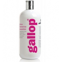   GALLOP Carr&Day&Martin 500 