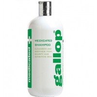    x Carr&Day&Martin 500 